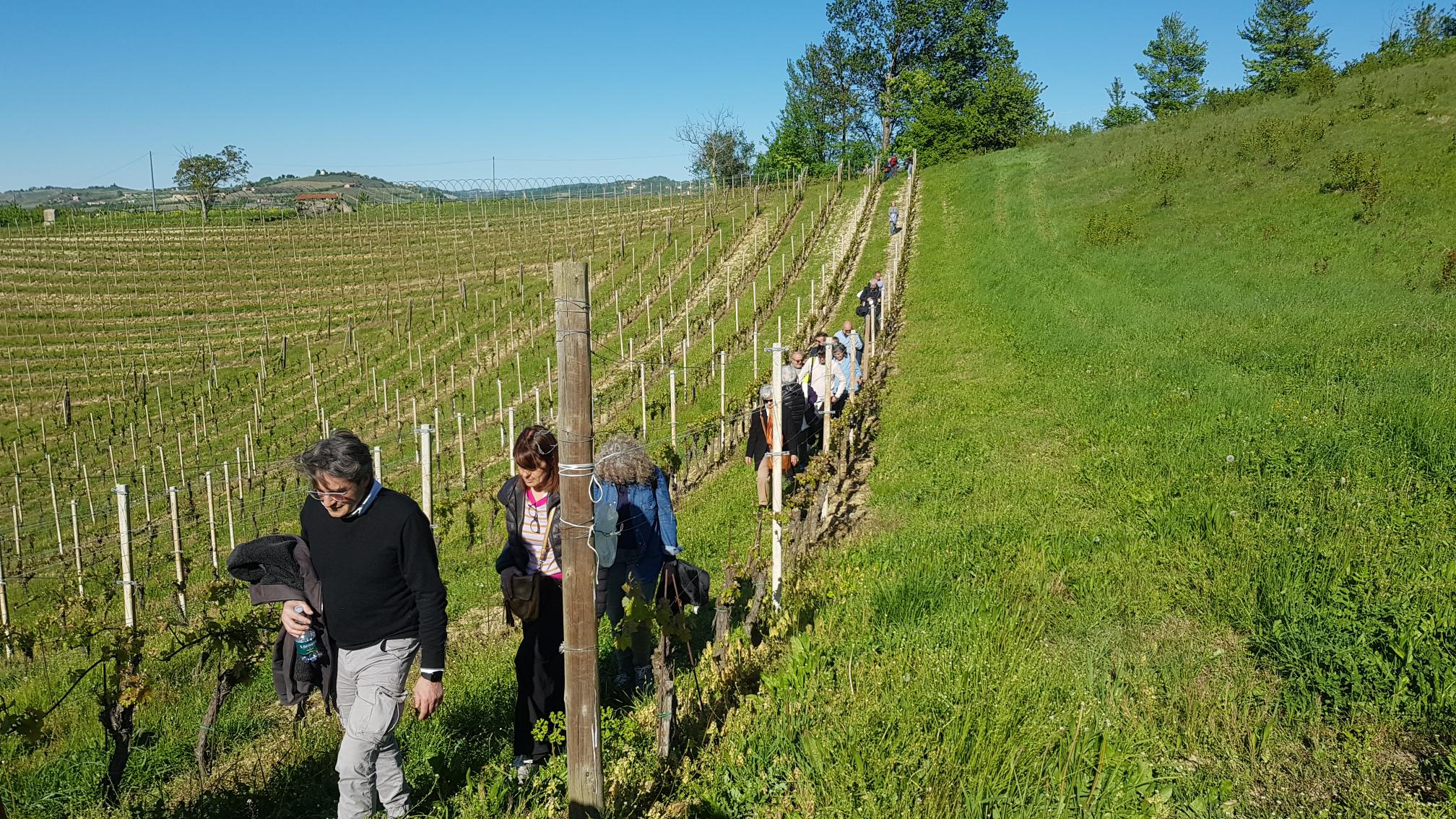 Passeggiata_Dogliiani_1.jpg